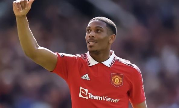 如果要分析 如果要分析